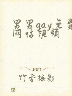 男男gay免费网站视频