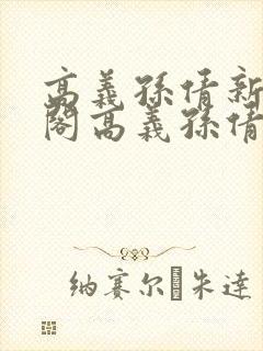 高义孙倩新笔趣阁高义孙倩