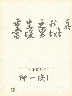 重生之我真没想当暖男txt
