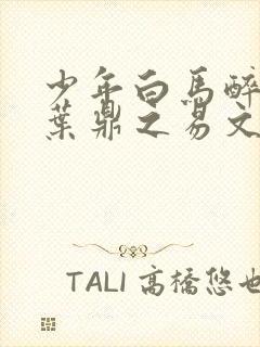 少年白马醉春风叶鼎之易文君封面