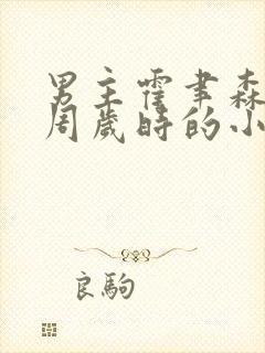 男主霍聿森女主周岁时的小说