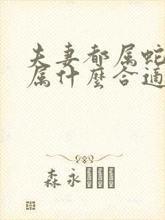 夫妻都属蛇孩子属什么合适