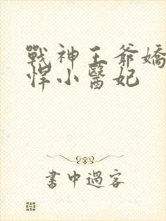 战神王爷娇宠彪悍小医妃