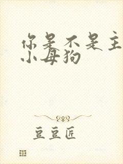 你是不是主人的小母狗