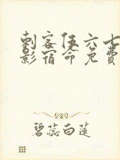 刺客伍六七之暗影宿命免费播放