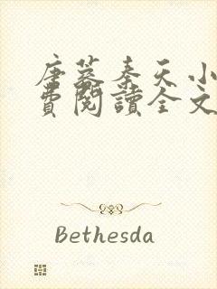 唐蓉秦天小说免费阅读全文