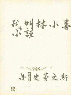 我叫林小喜全部小说