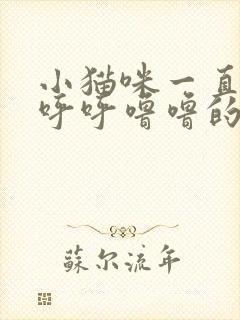 小猫咪一直发出呼呼噜噜的声音