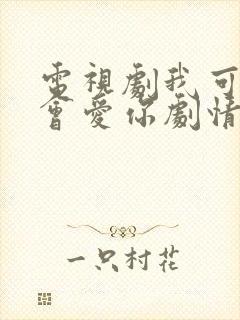 电视剧我可能不会爱你剧情介绍