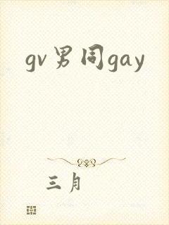 gv男同gay