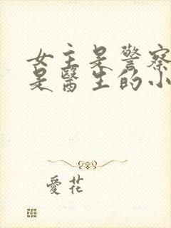 女主是警察男主是医生的小说