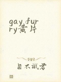 gay furry黄片
