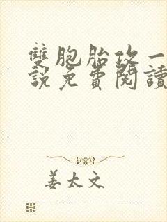 双胞胎攻一受小说免费阅读