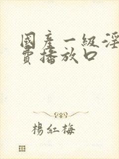 国产一级淫片免费播放口封面