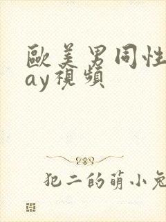 欧美男同性恋gay视频