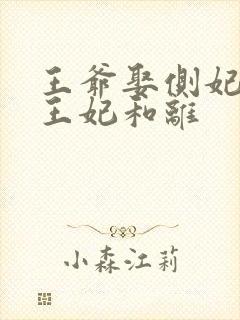 王爷娶侧妃当天王妃和离