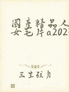 国产精品人妻熟女毛片a2023