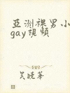 亚洲裸男小鲜肉gay视频封面