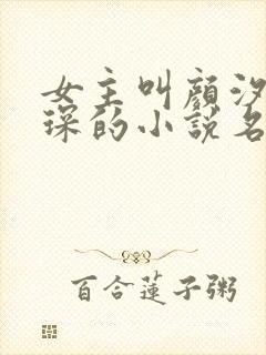 女主叫颜汐陆霆琛的小说名字