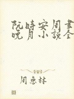 阮时安周聿白沈晚月小说全文阅读