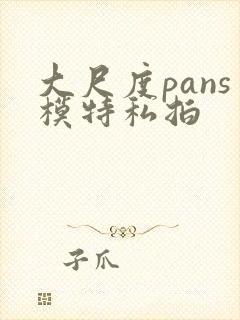 大尺度pans模特私拍