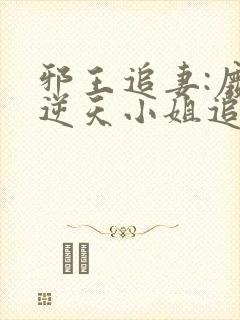 邪王追妻:废材逆天小姐追书