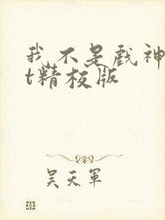 我不是戏神txt精校版