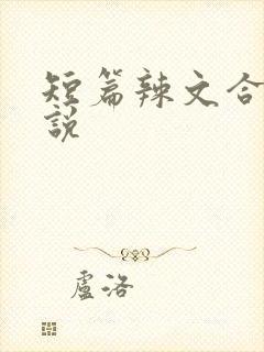 短篇辣文合集小说封面