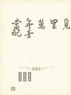 当年万里觅封侯配音