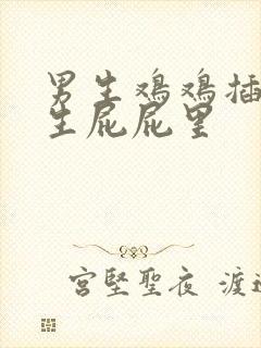 男生鸡鸡插进女生屁屁里