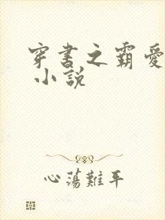 穿书之霸爱反派 小说