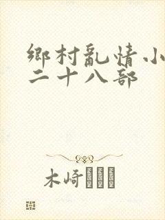 乡村乱情小说第二十八部封面