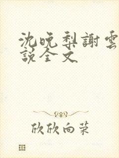 沈晚梨谢云迟小说全文