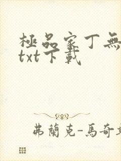 极品家丁无删减txt下载