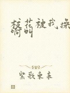 校花被我操的啊啊叫封面