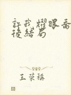 许我耀眼乔琳最后结局封面