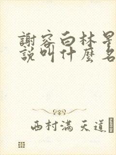 谢容白林星浅小说叫什么名字