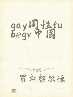 gay同性tubegv中国封面