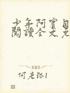 少年阿宾目录线阅读全文免费阅读