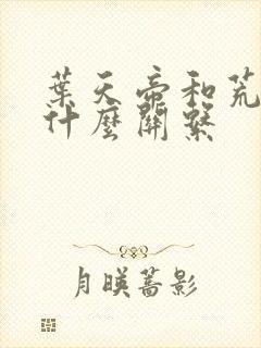 叶天帝和荒天帝什么关系