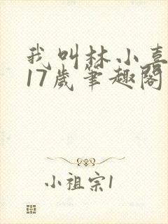 我叫林小喜今年17岁笔趣阁