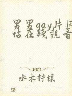 男男gay片网站在线观看