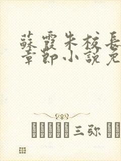 苏霞朱校长全部章节小说免费阅读