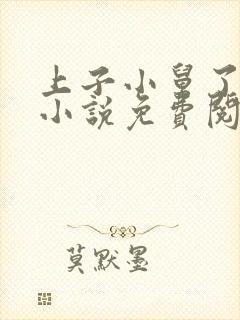 上子小舅了老婆小说免费阅读