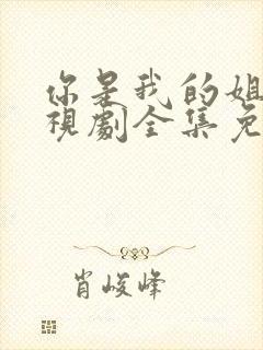 你是我的姐妹电视剧全集免费观看西瓜