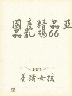 国产精品亚洲精品乱码66封面