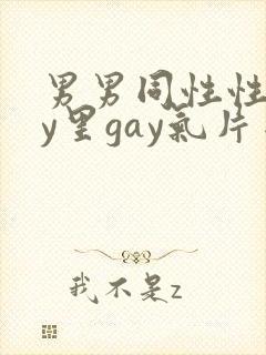 男男同性性gay里gay气片网站