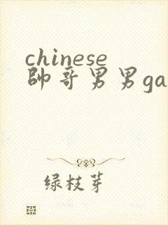 chinese帅哥男男gaygay网站