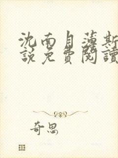 沈南月薄斯臣小说免费阅读全文