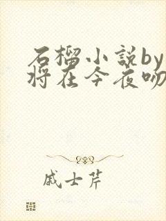 石榴小说by我将在今夜吻你免费阅读封面